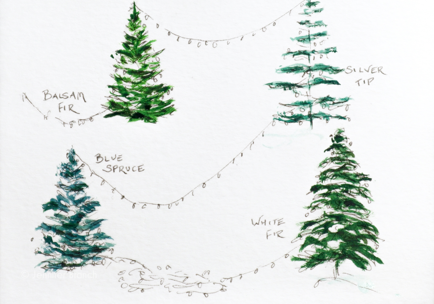 How to Draw a Winterberry Card with Thank You Script - The Painted Pen