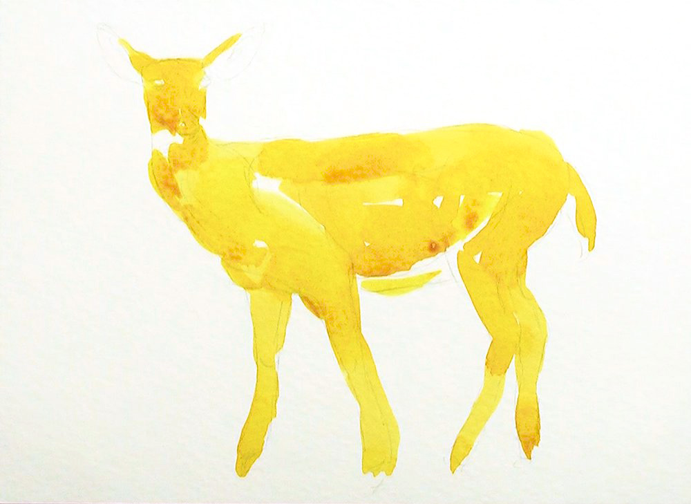 Christmas Card deer 1