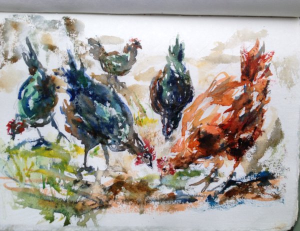 Sketching Chickens