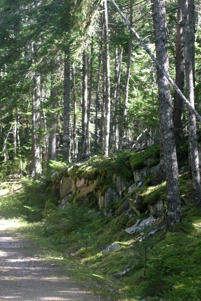 Hio Road, Mount Desert Island, Maine by Jennifer Branch