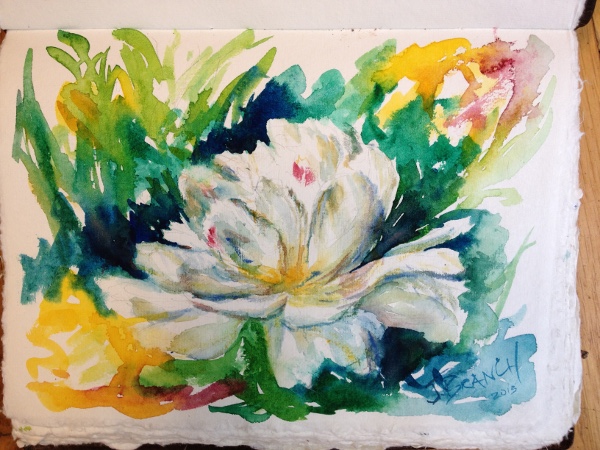 sketching peonies