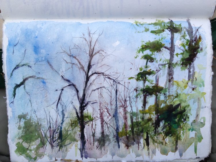 Sketching winter trees