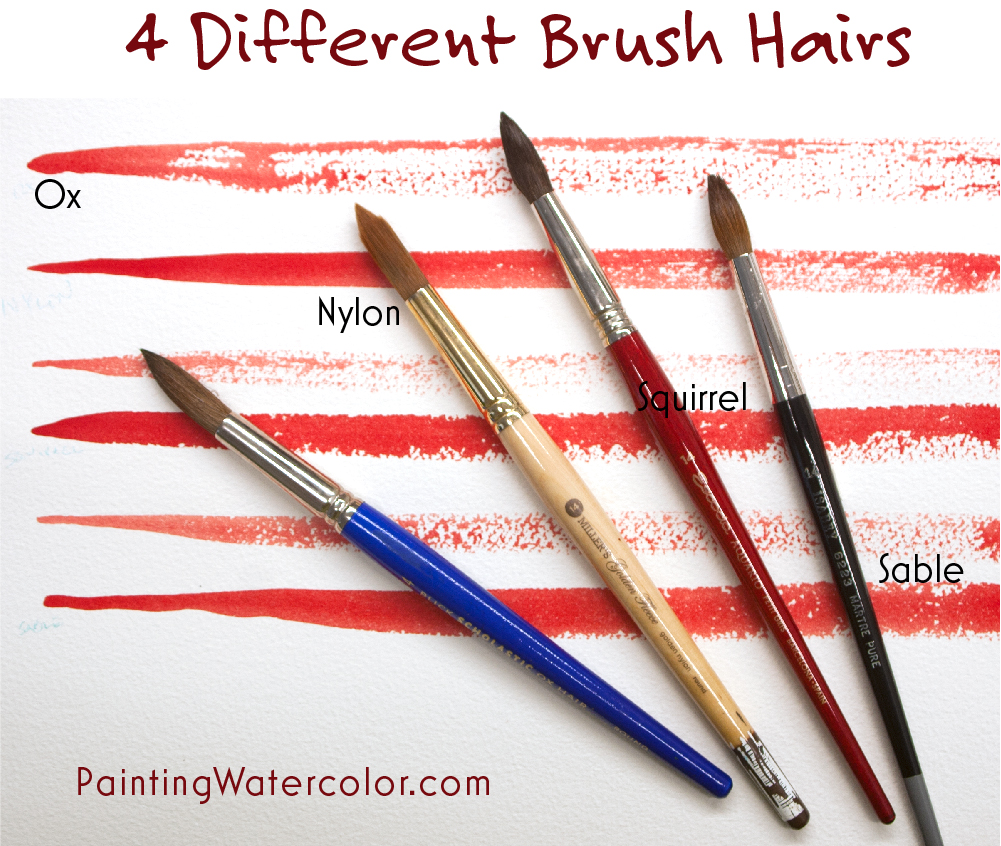 How to Choose a Watercolor Brush, different brush hairs