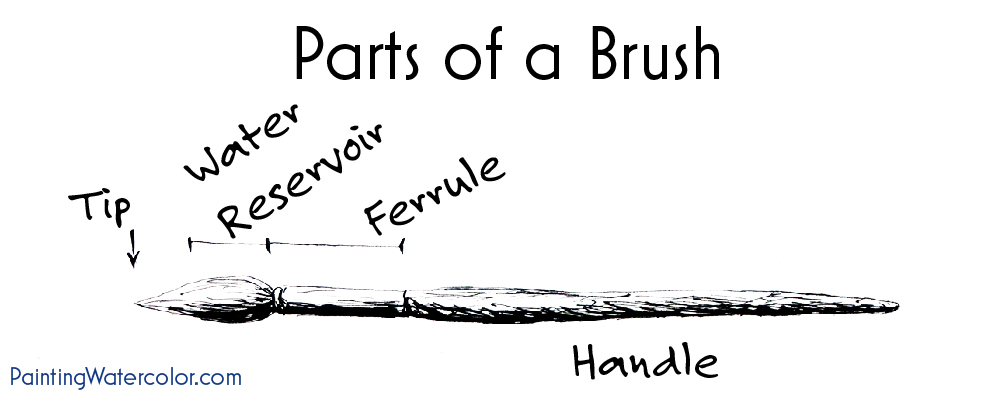 Parts of a Watercolor Painting Brush