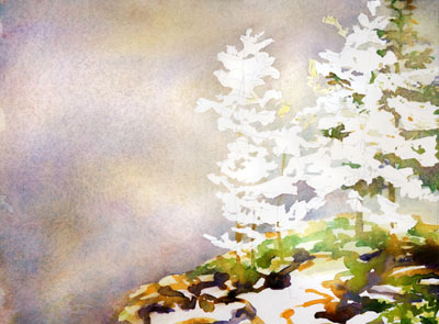 Acadia Pines Tutorial Painting Tutorial 3