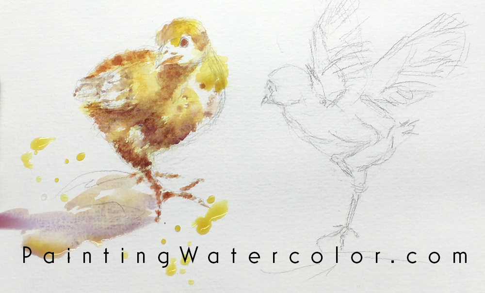 Baby Chicks Sketch Watercolor Painting Lesson 2