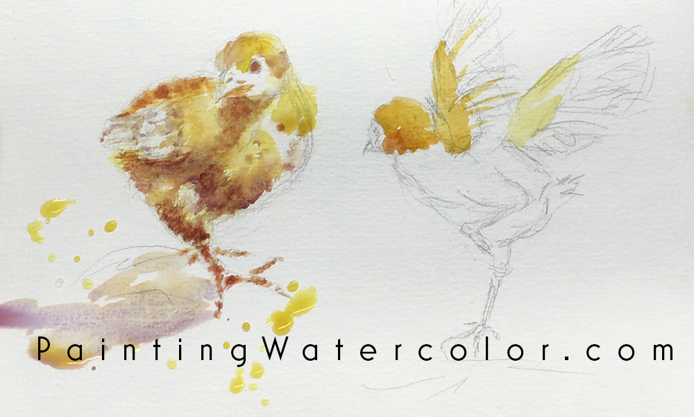 Baby Chicks Sketch Painting Tutorial 3