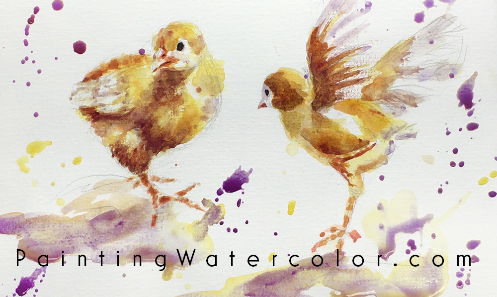 Baby Chicks Sketch Watercolor Painting Tutorial 6