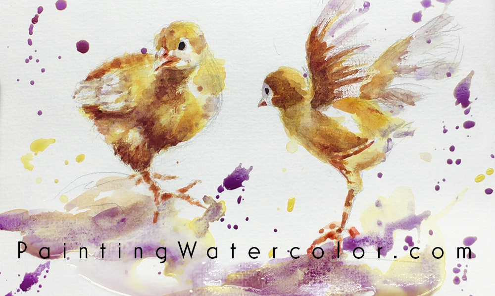 Baby Chicks Sketch Watercolor Painting Tutorial 7