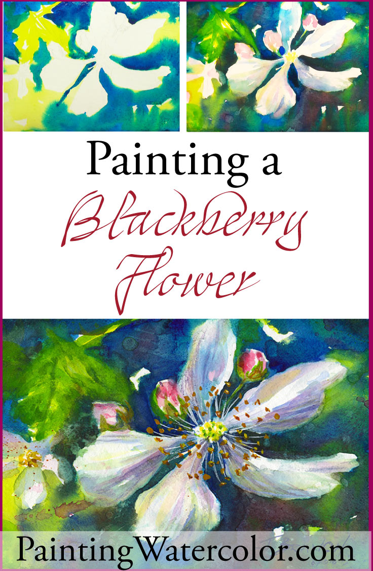 Painting Blackberry Flowers  watercolor painting tutorial by Jennifer Branch