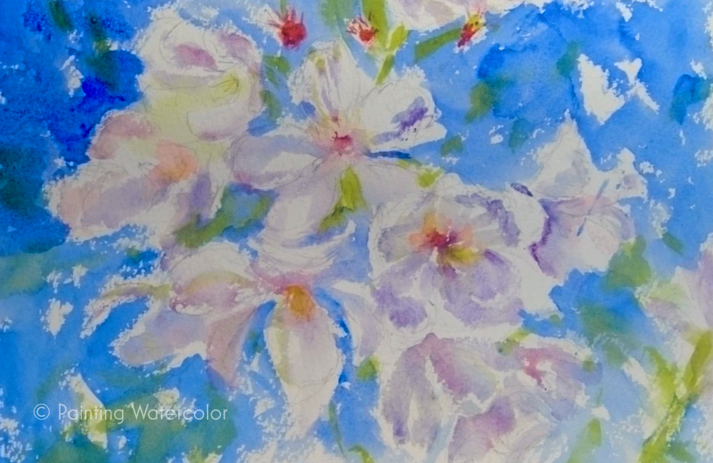 How to Paint Cherry Blossoms, Step-by-Step Watercolor