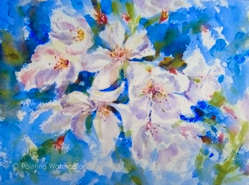 Cherry Blossoms Painting Tutorial Watercolor Painting Tutorial 7
