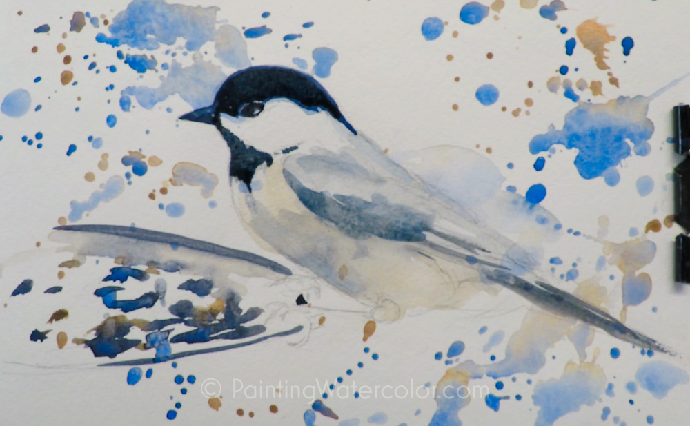 Backyard Bird Sketch, Chickadee Painting Tutorial 3