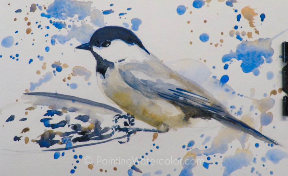 Backyard Bird Sketch, Chickadee Painting Tutorial 4