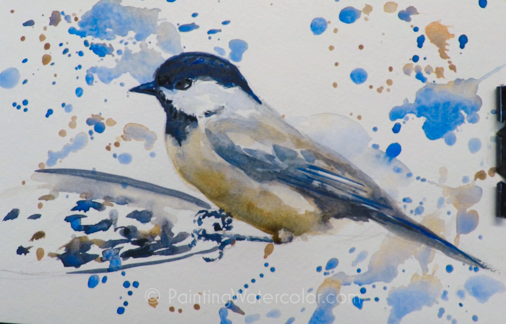 Backyard Bird Sketch, Chickadee Painting Tutorial 5