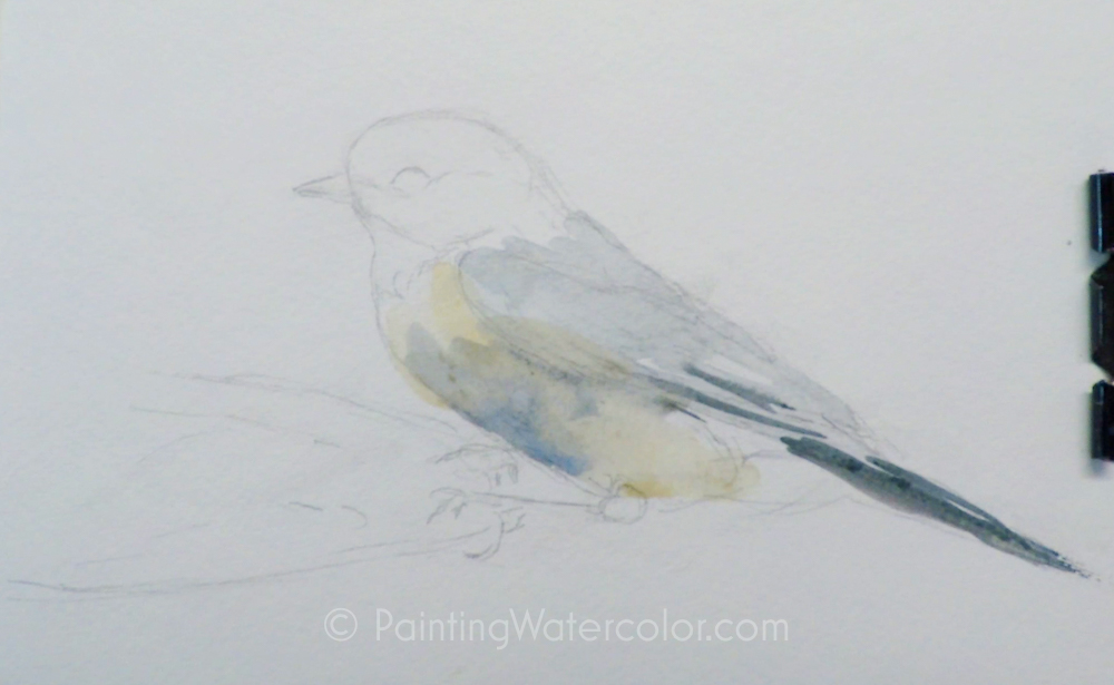 CUTE BIRD - Watercolor Painting Blue White Yellow Baby Bird