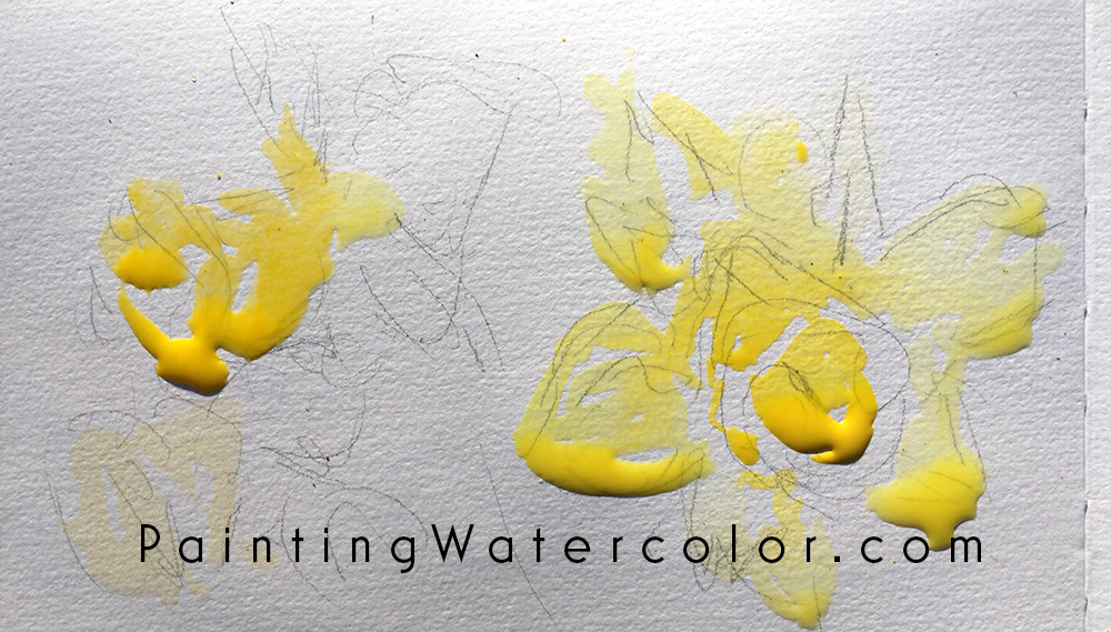 Daffodils Watercolor Sketch Watercolor Painting Lesson 1