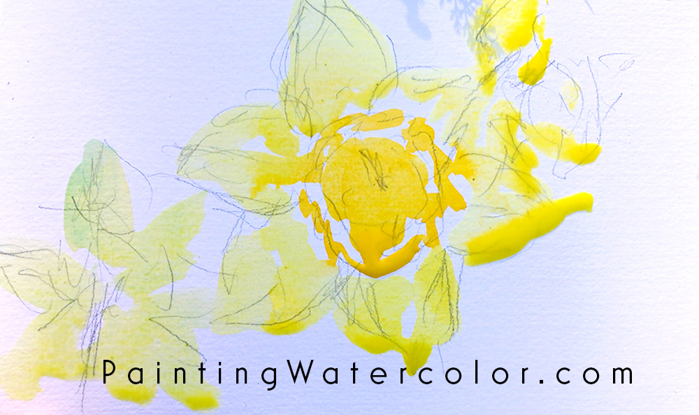 Daffodils Watercolor Sketch Painting Tutorial 3