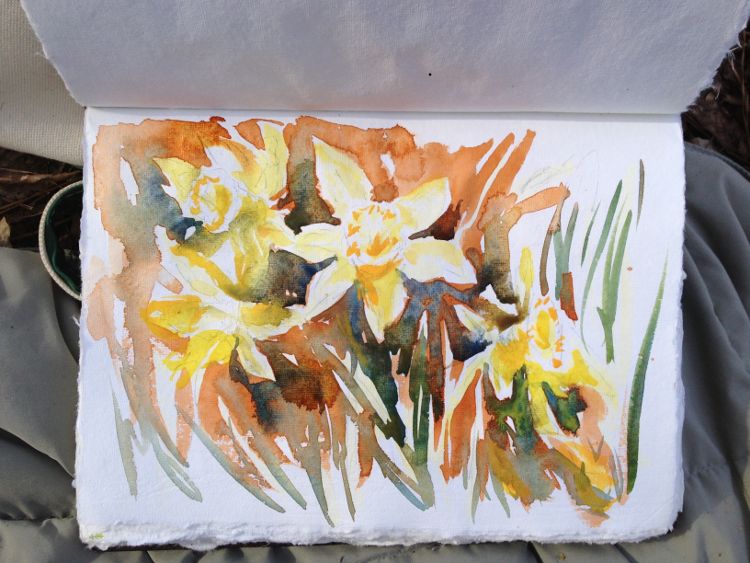 Daffodils Sketch Painting Tutorial 5