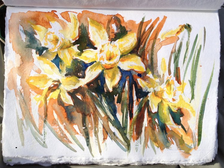 Daffodils Sketch Watercolor Painting tutorial