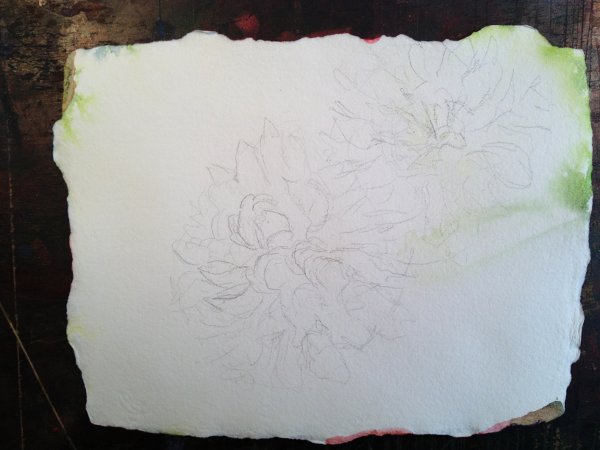 Dahlia Watercolor Painting Lesson 2