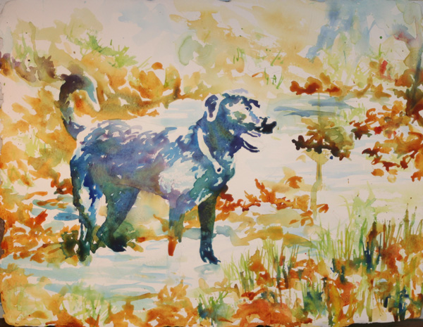 Labrador Retriever Tutorial Watercolor Painting Lesson 2