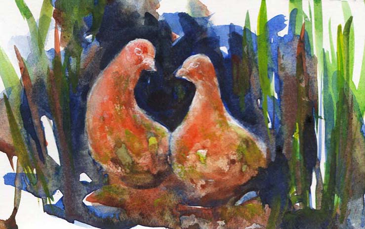 Valentines Day Doves Watercolor Painting tutorial
