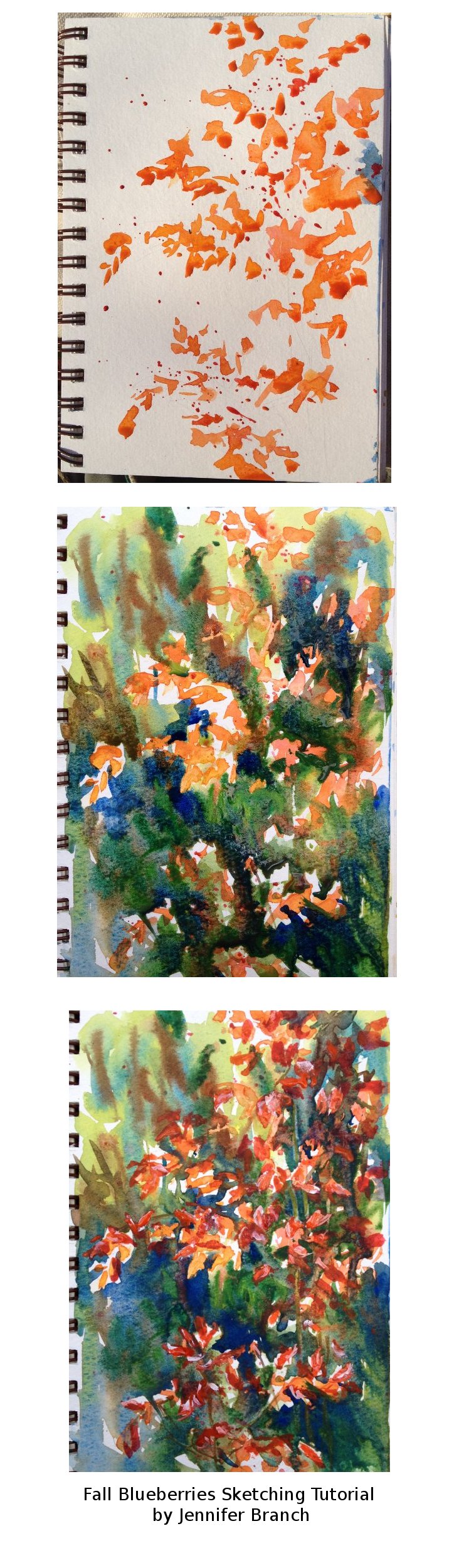 Sketching Fall Blueberries watercolor painting tutorial by Jennifer Branch