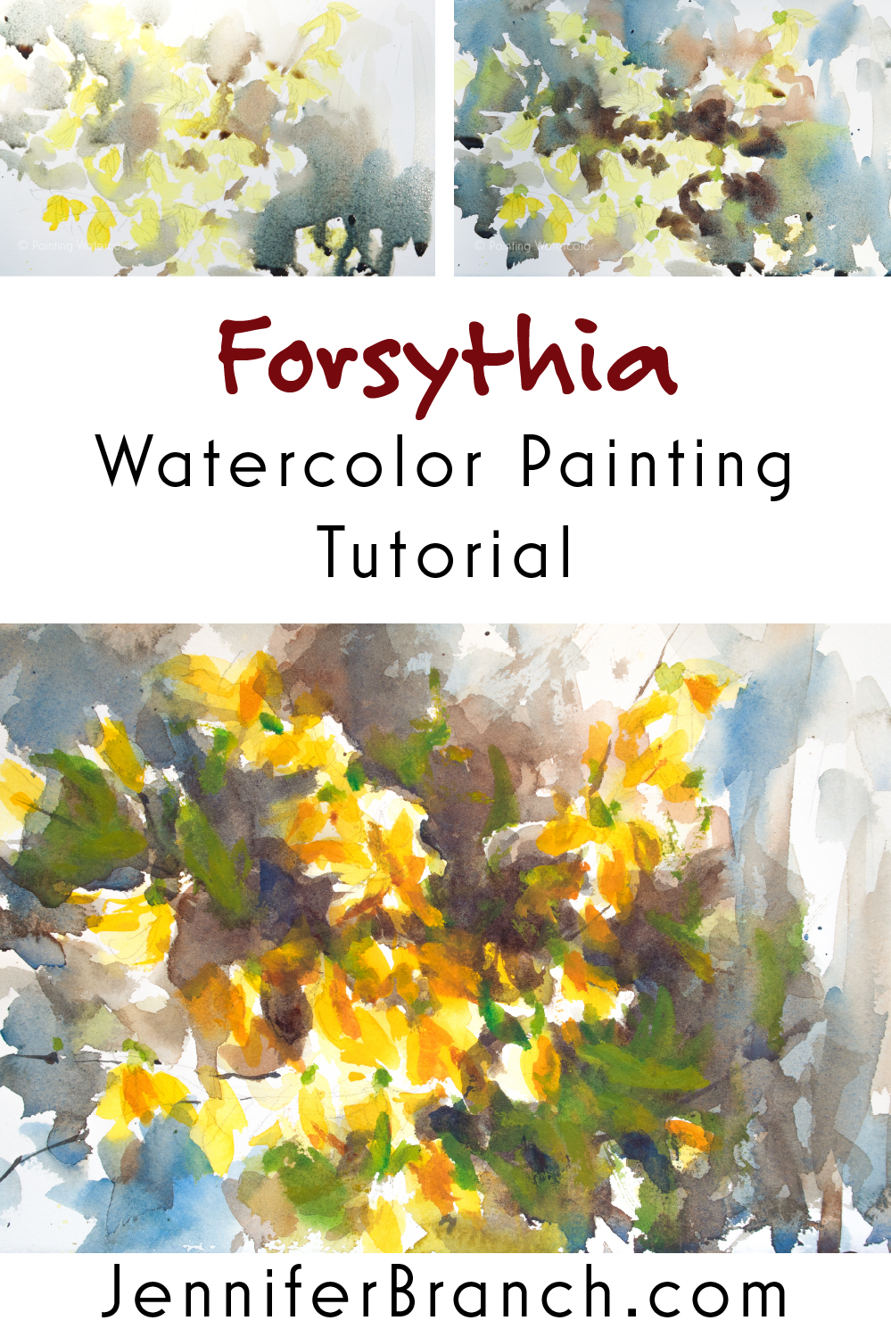 Forsythia Sketch Painting Tutorial watercolor painting tutorial by Jennifer Branch