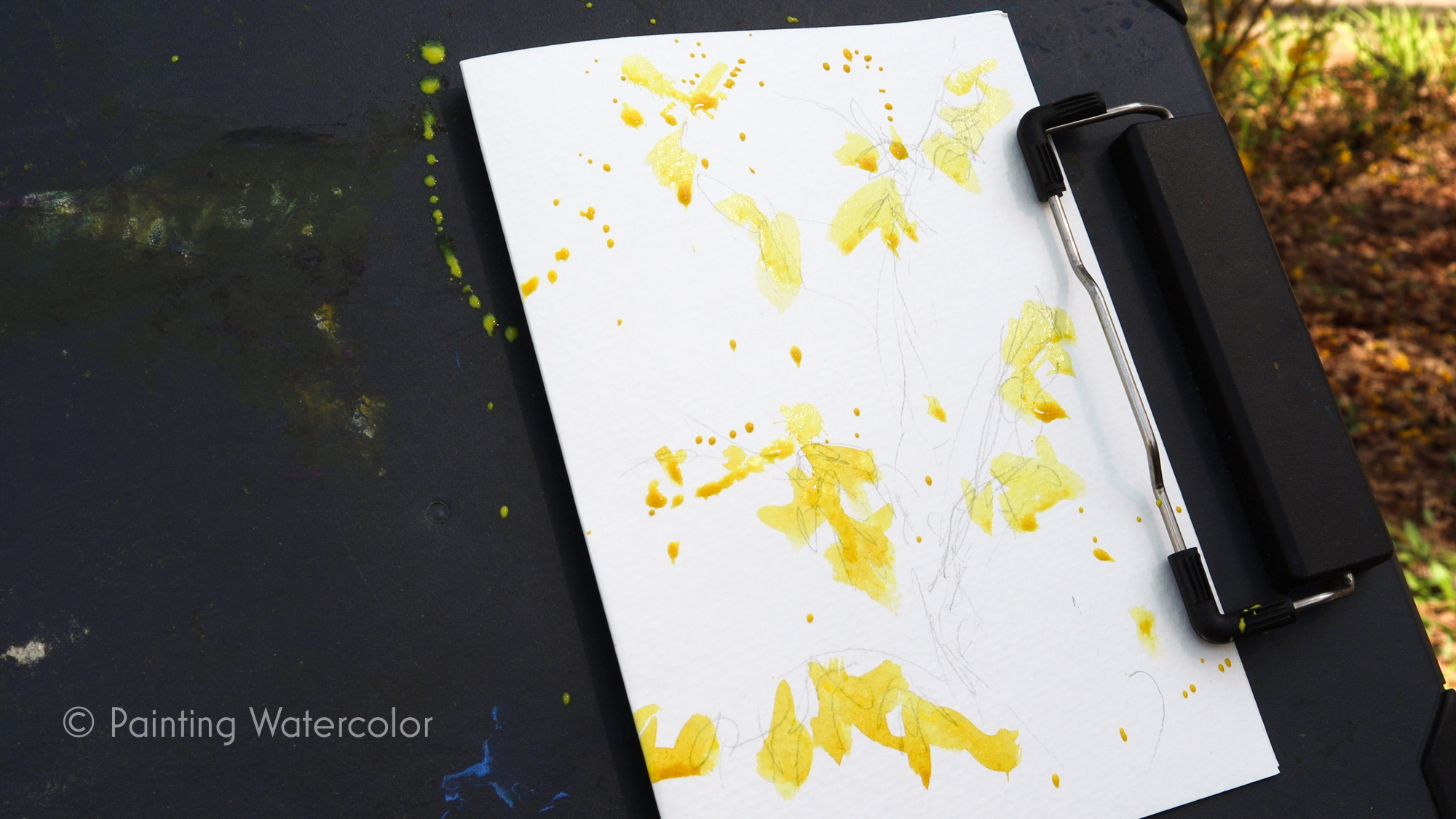 Forsythia notecard demo 2