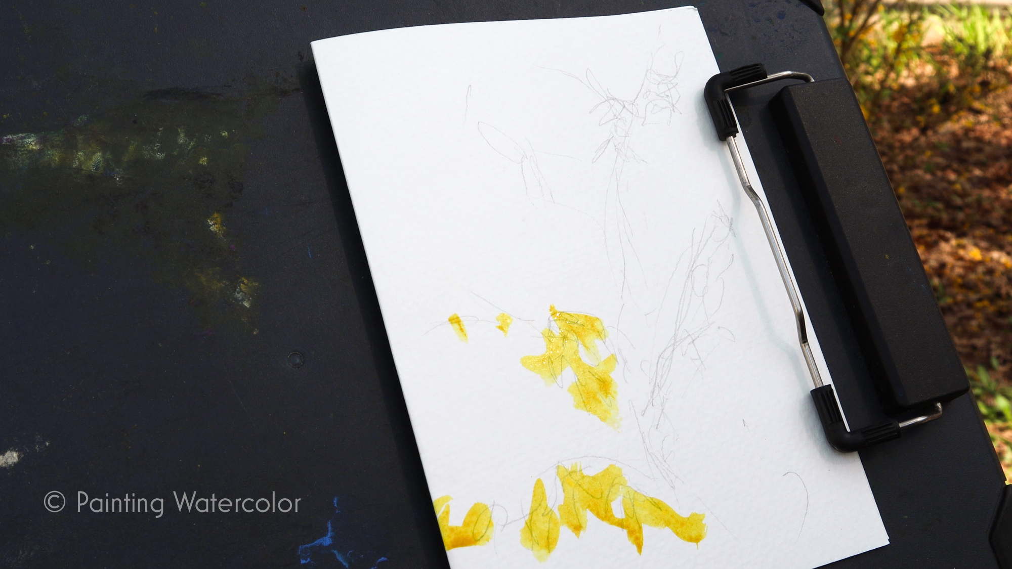 Forsythia notecard demo