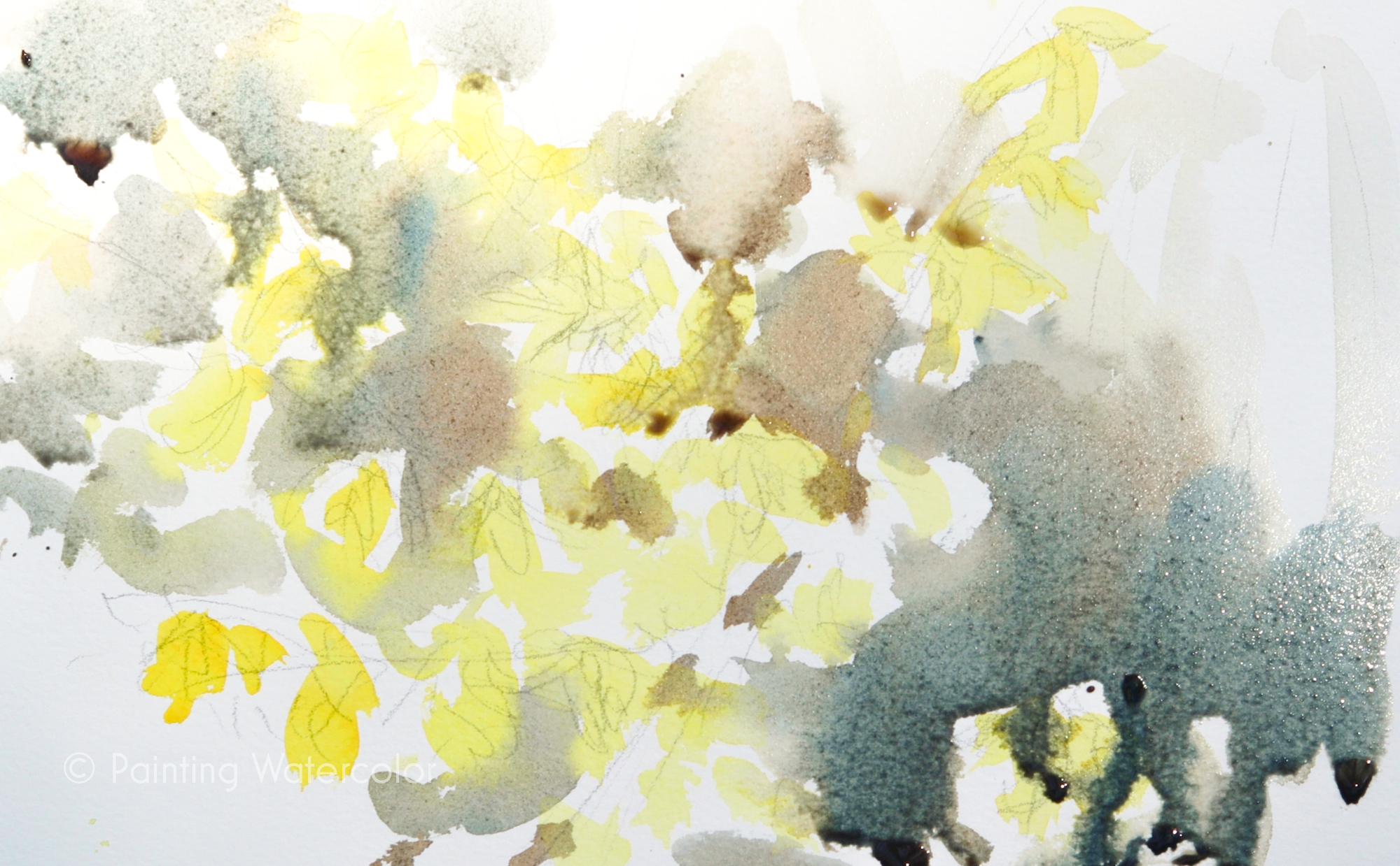 Forsythia Sketch Painting Tutorial Watercolor Painting Lesson 2