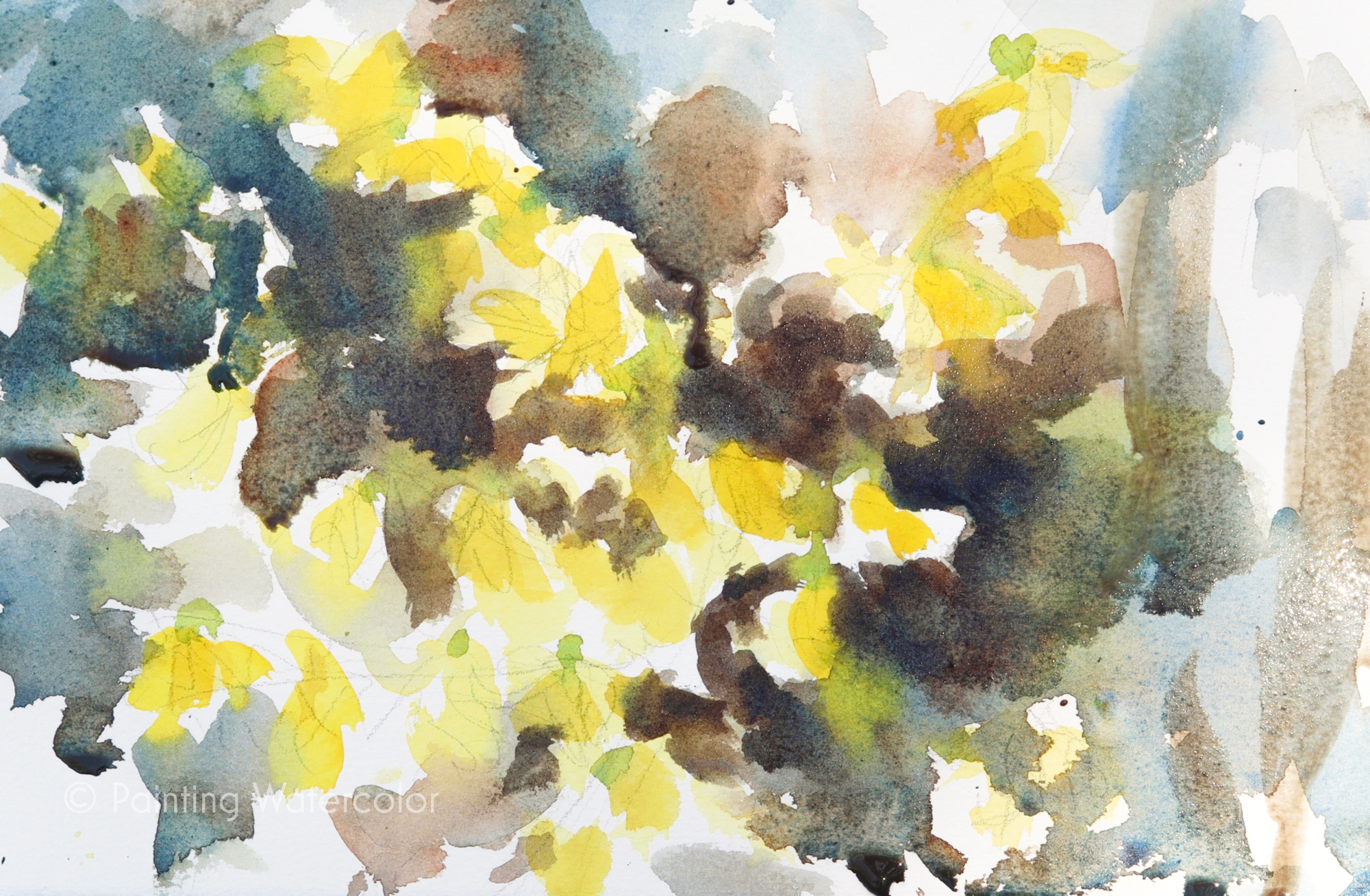 Forsythia Sketch Painting Tutorial Painting Tutorial 5