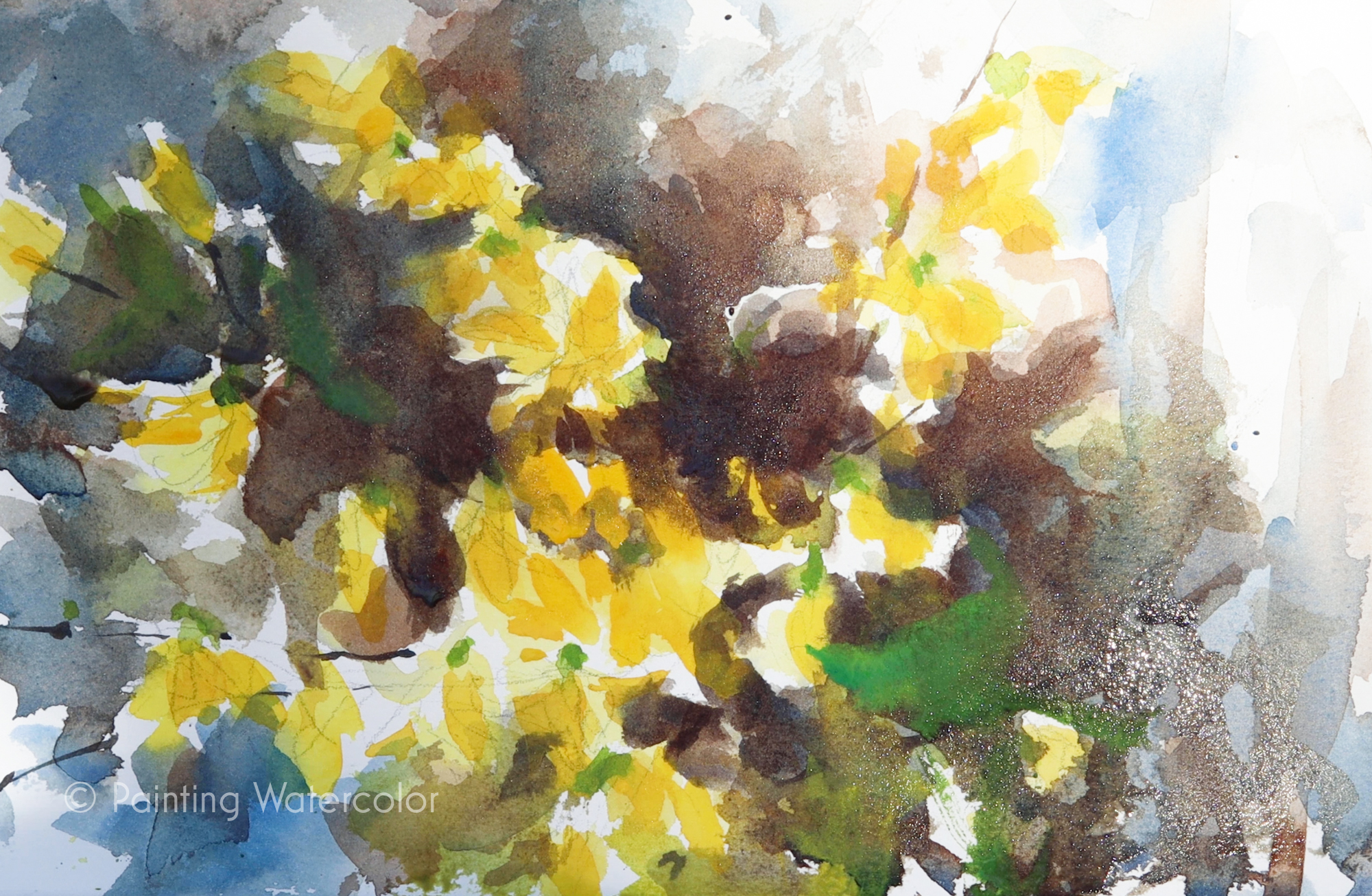 Forsythia Sketch Painting Tutorial Watercolor Painting Tutorial 6