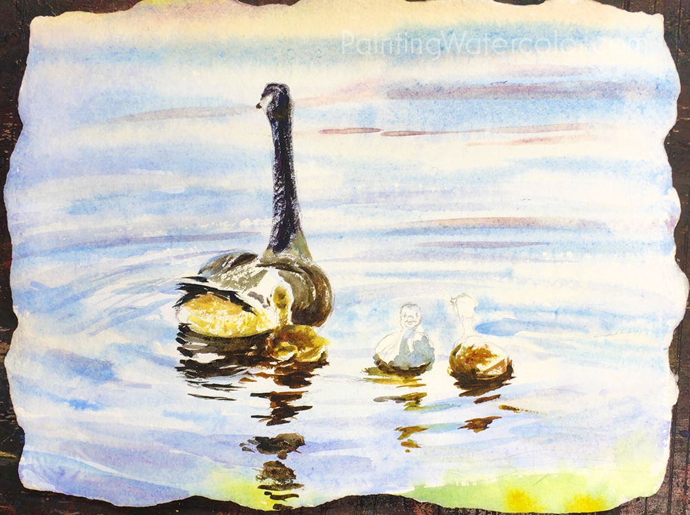 Canadian Goslings Reflections Watercolor Painting Tutorial 6