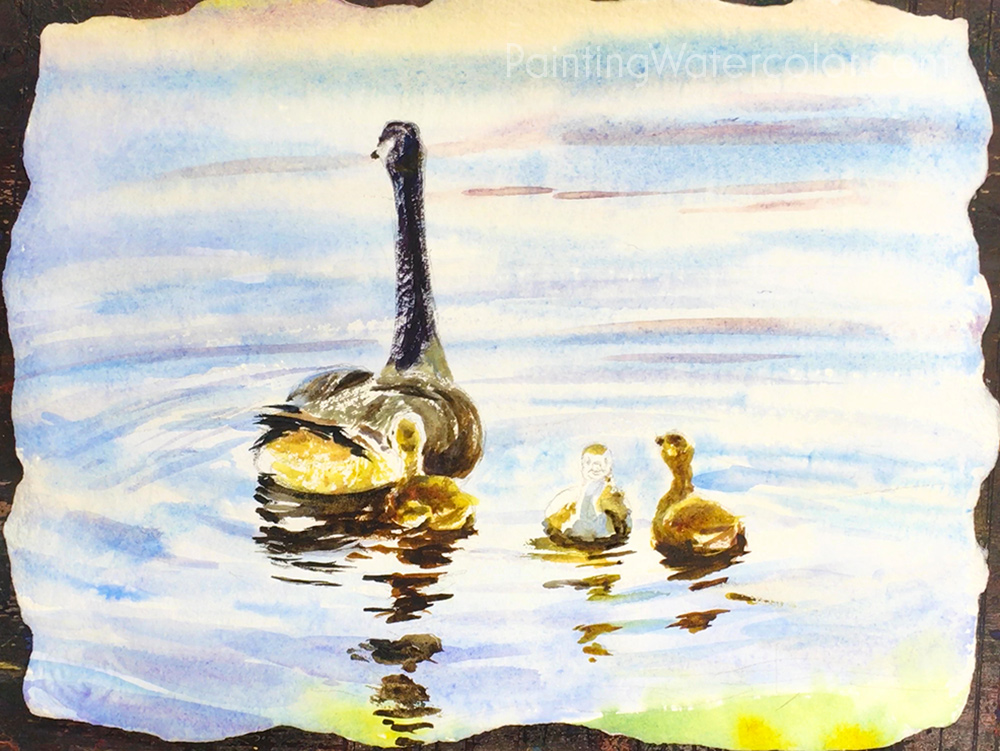 Canadian Goslings Reflections Watercolor Painting Tutorial 7