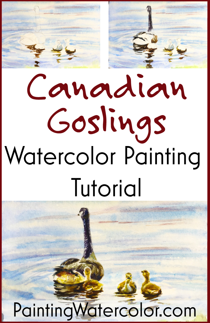 Canadian Goslings Reflections watercolor painting tutorial by Jennifer Branch