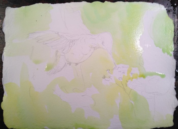 Hummingbird on Verbena Painting Tutorial 3
