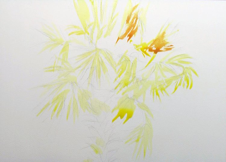 Charleston Palm Tree Watercolor Painting Lesson 1