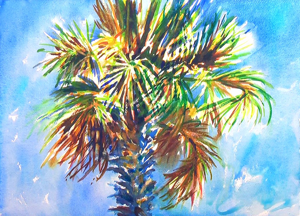 palm tree watercolor