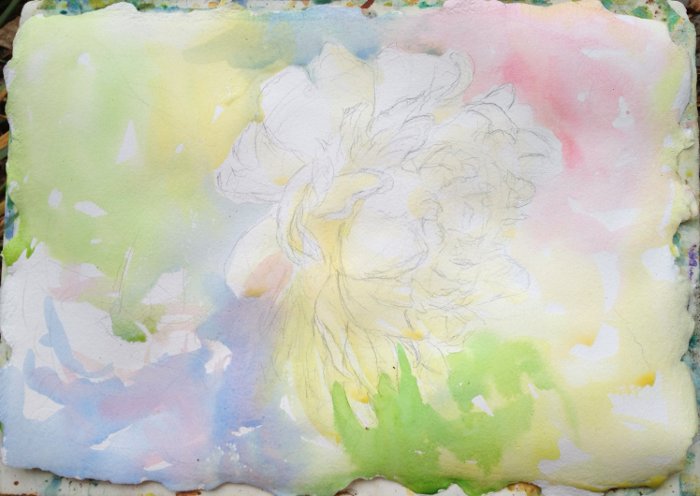 White Peony Watercolor Painting Lesson 2