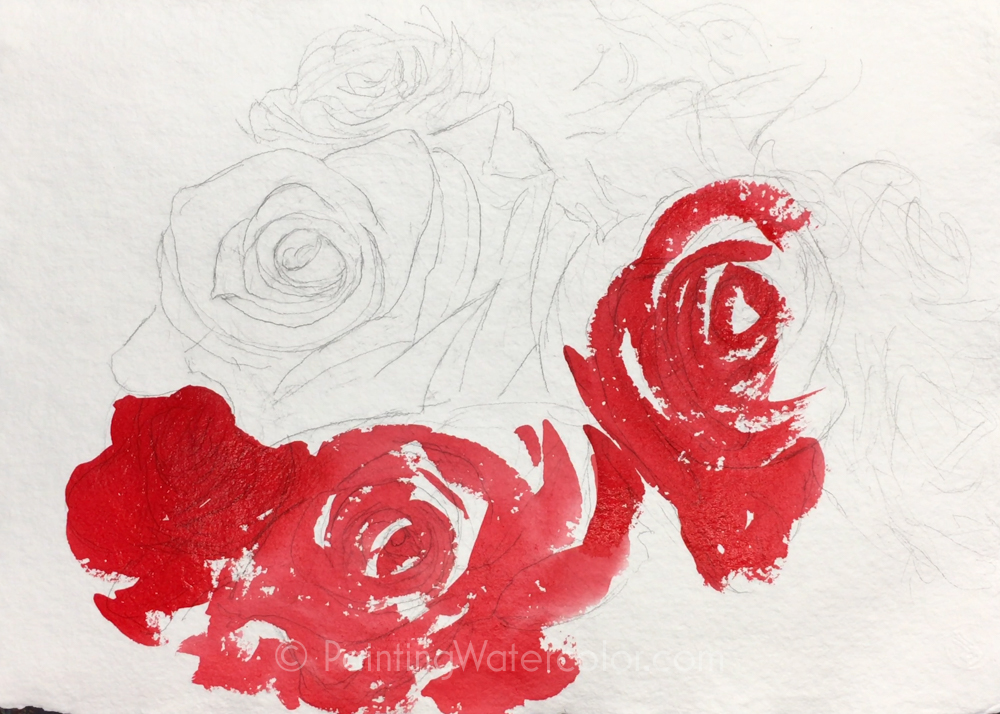 red rose watercolor painting