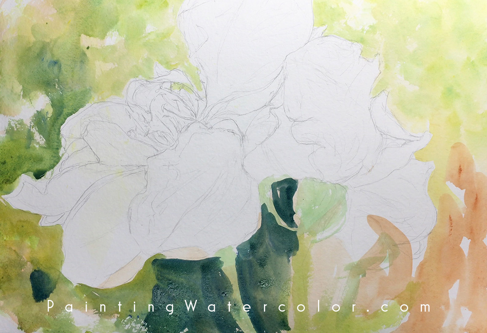 Roses Watercolor Watercolor Painting Lesson 2