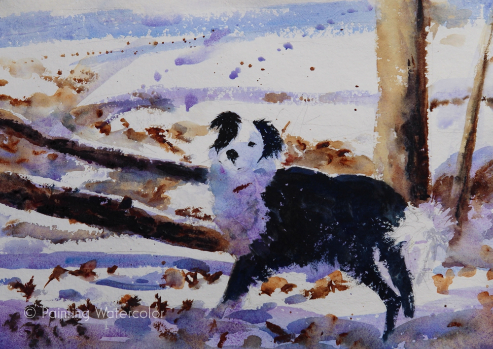 Snow Dog Painting Tutorial Watercolor Painting Tutorial 6