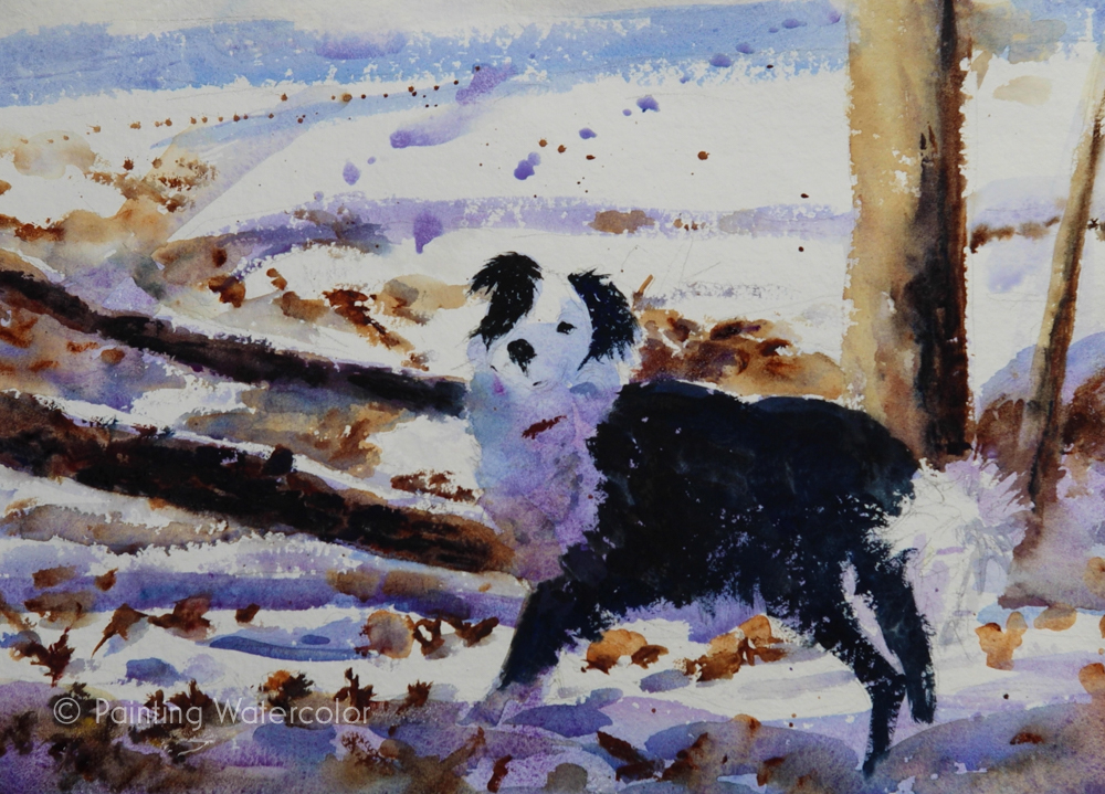 Snow Dog Painting Tutorial Watercolor Painting Tutorial 7
