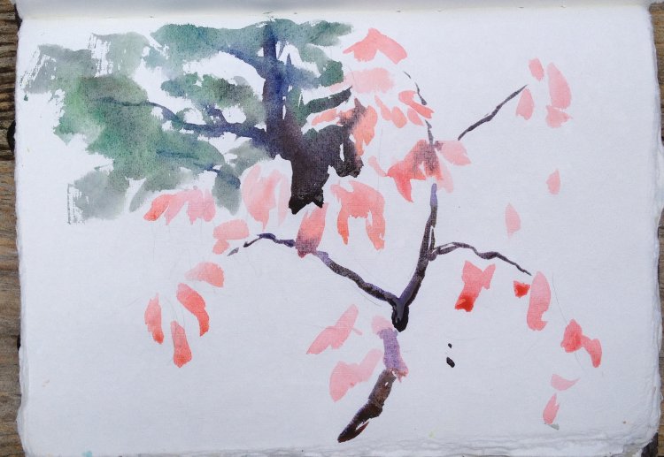 Sketching a Sourwood Tree, Autumn Painting Tutorial 3