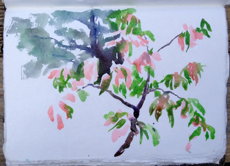Sketching a Sourwood Tree, Autumn Painting Tutorial 4