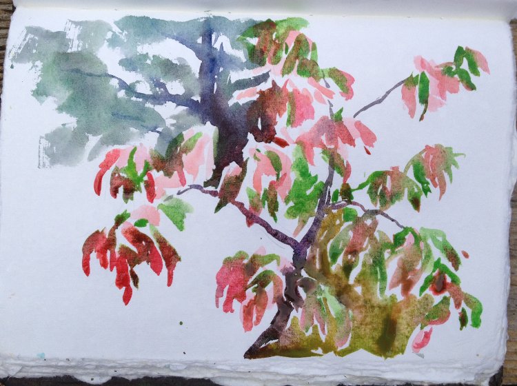 Sketching a Sourwood Tree, Autumn Painting Tutorial 5