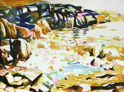 Tidal Pool, Acadia Painting Tutorial 3