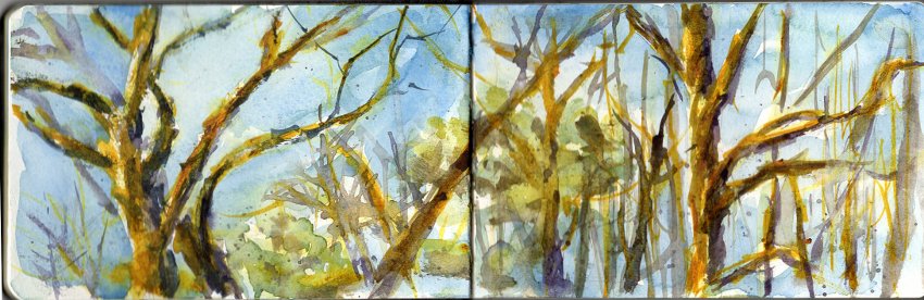 Treetops Against the Sky watercolor painting lesson by Jennifer Branch